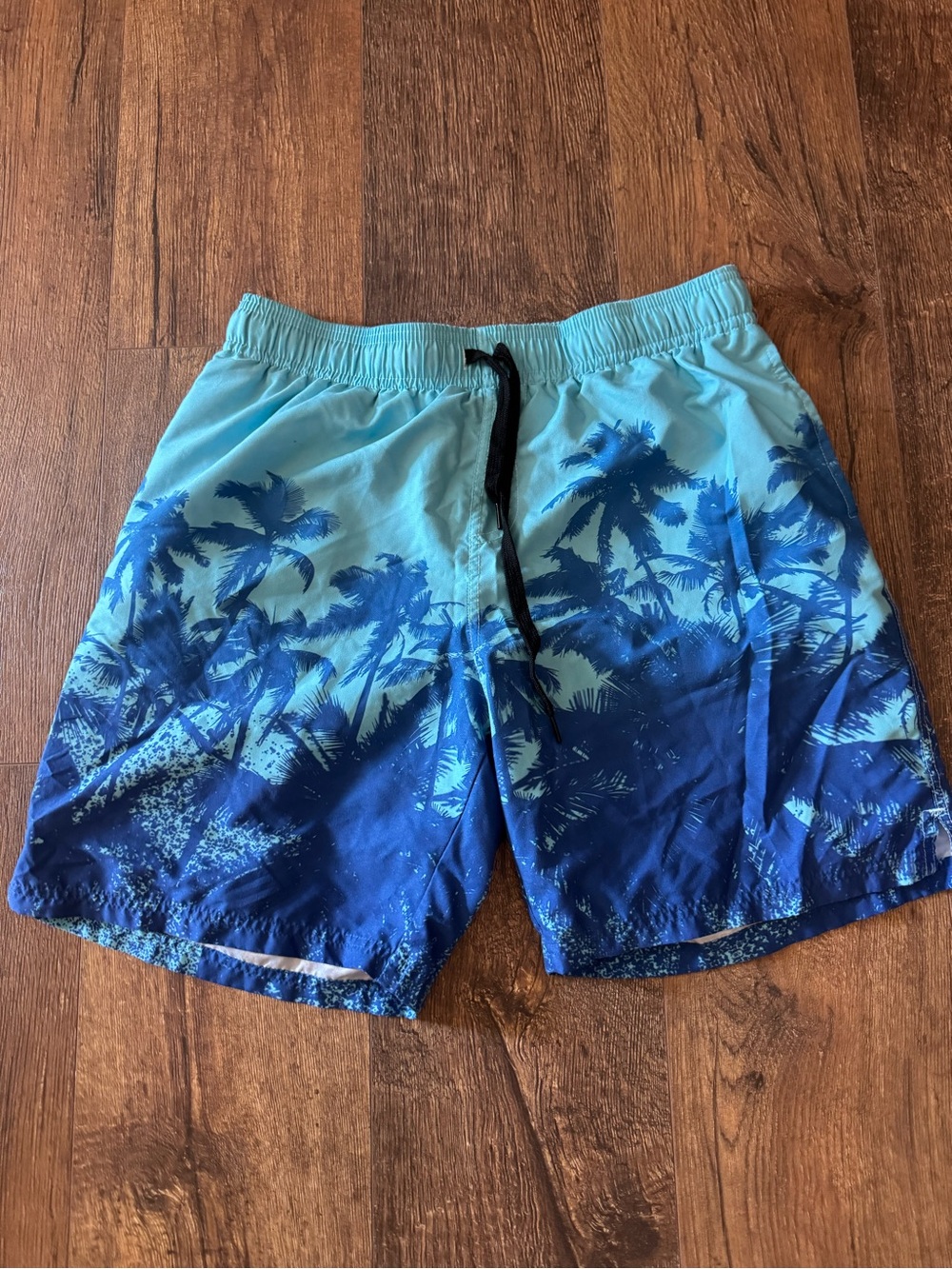 Men's Gradient Blue Palm-Print Swim Trunks